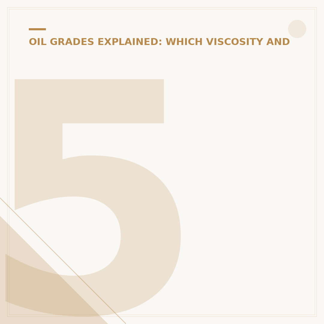 5W30 Oil 1 Ltr: What to Check Before You Buy