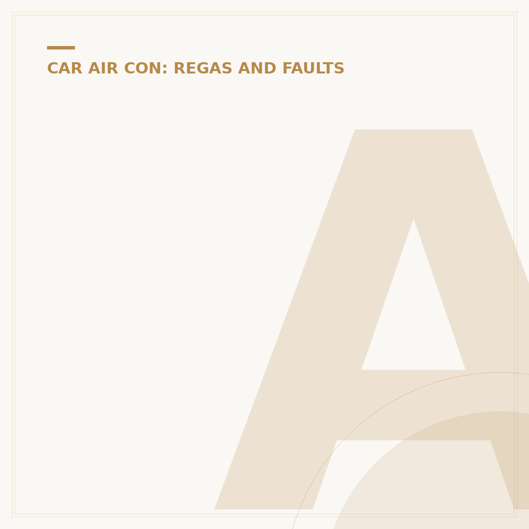 Air Con Car Cleaner: Banishing Odours & Germs