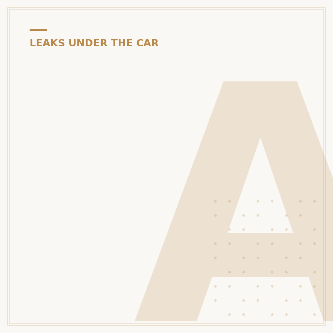 Auto Oil Leak: Signs, Causes and What to Do