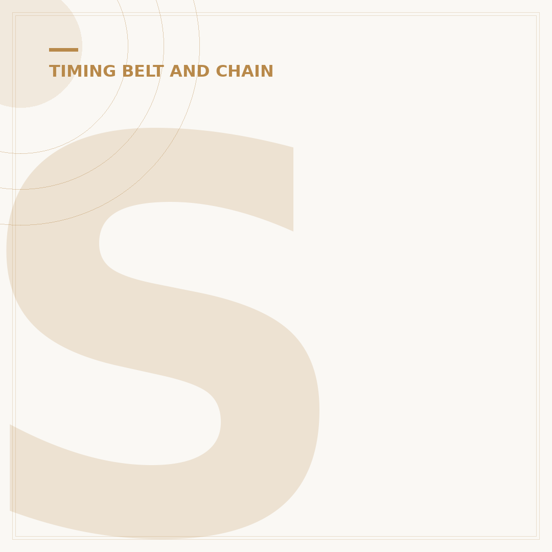 Signs of a Bad Timing Belt: What to Look For