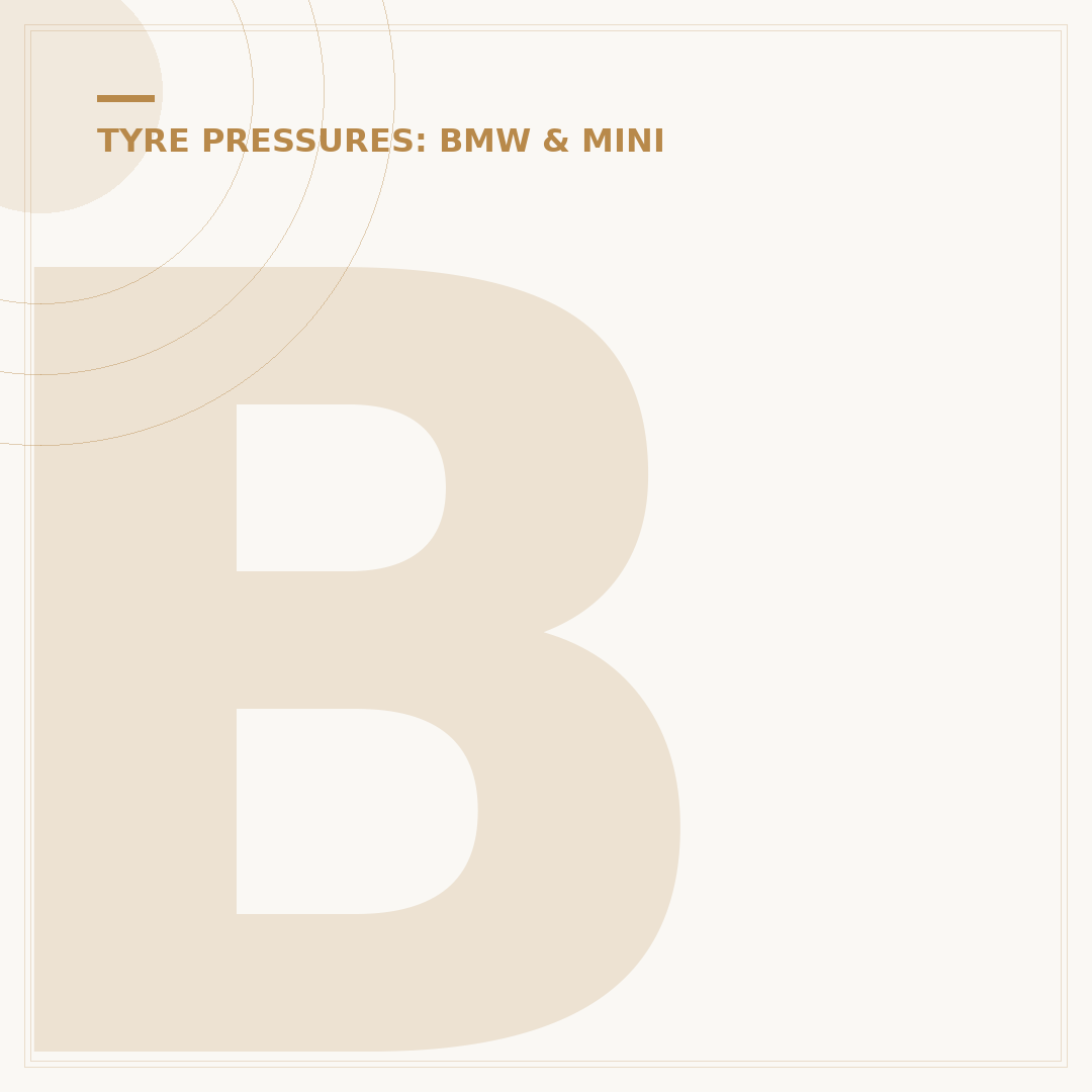 BMW 1 Series Tyre Pressure Reset: Fix Warning Light