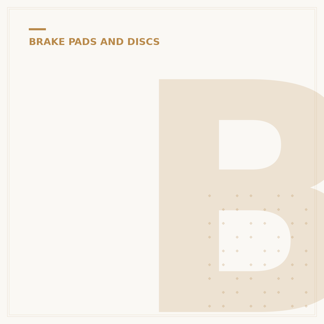 BMW Brake Pads
