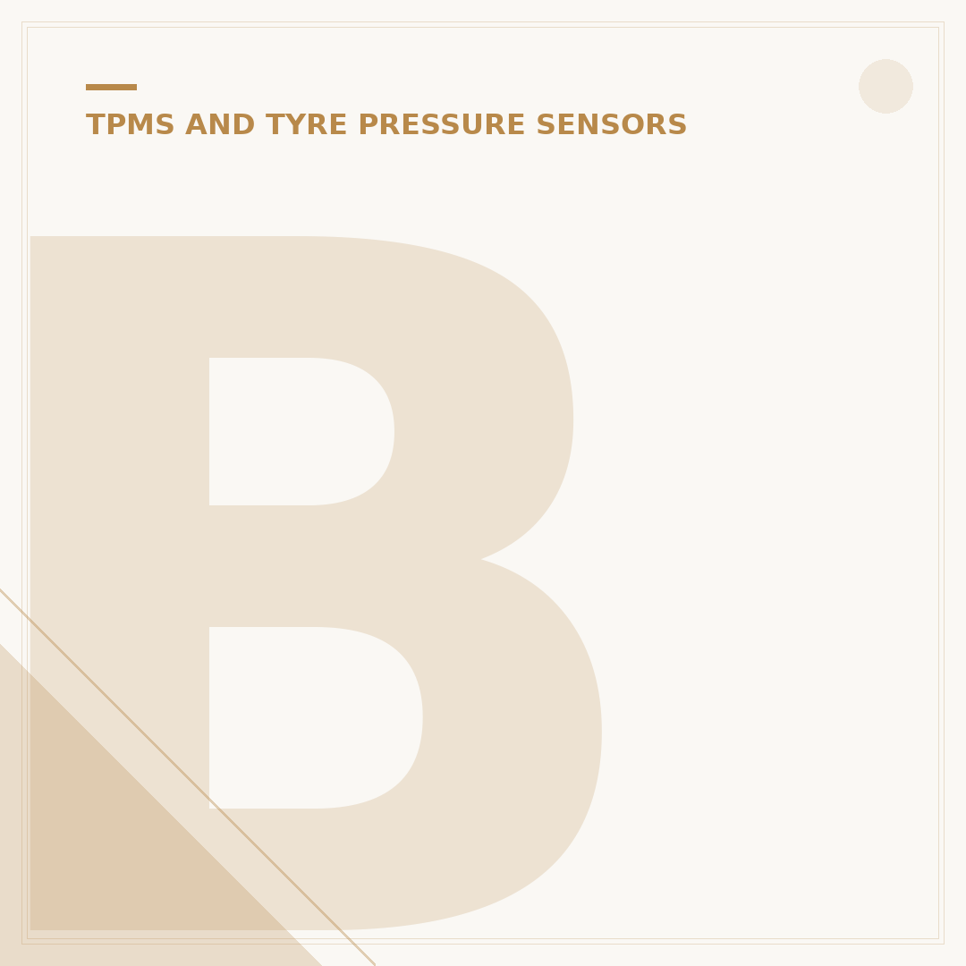 BMW TPMS Sensor: Tyre Pressure Monitoring Explained