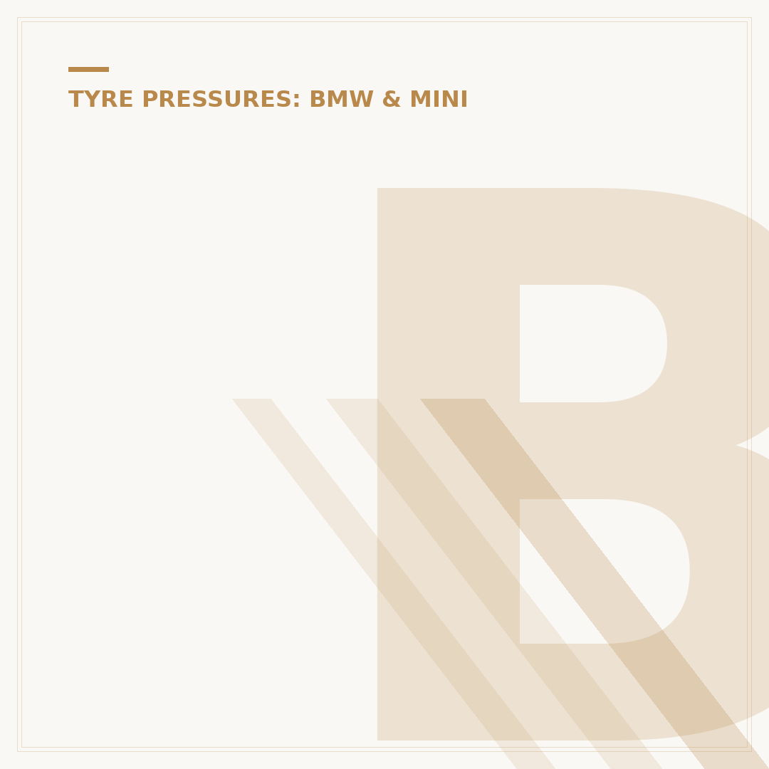 BMW Tyre Pressure Reset
