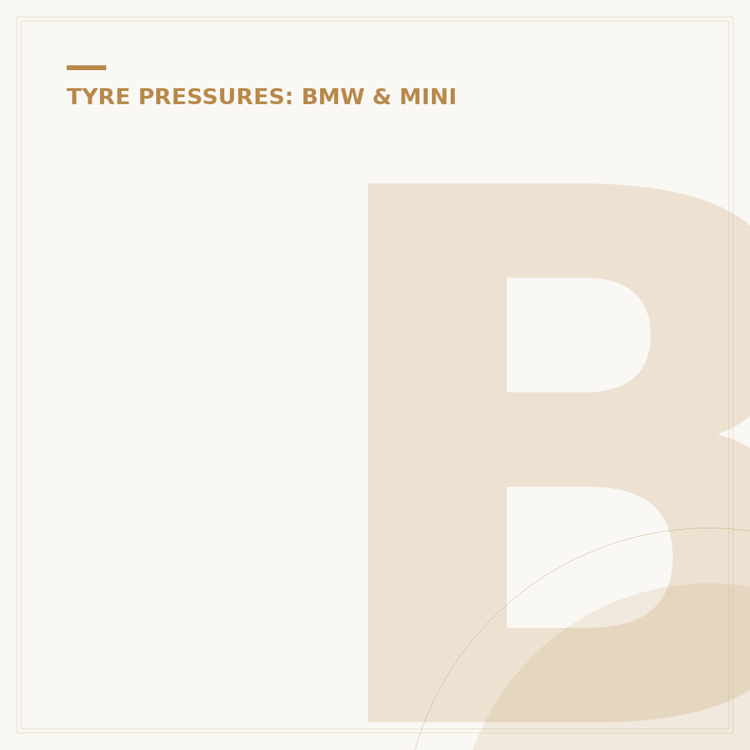 BMW X1 Tyre Pressure: Find Correct PSI Levels
