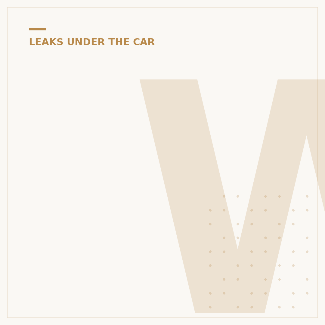 Why Is My Car Leaking Water?