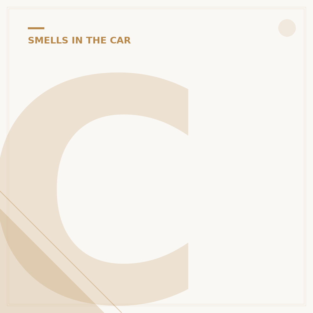 Car Smells Like Rotten Eggs? What It Means
