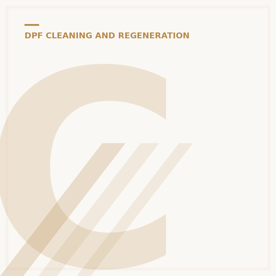 Carbon Clean for a DPF