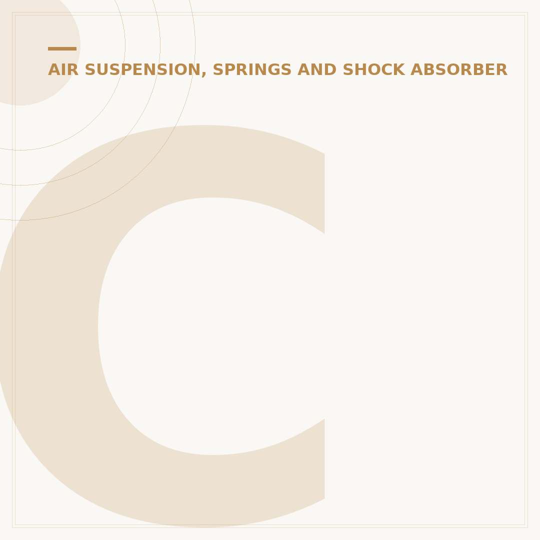 Cars With Air Ride Suspension Explained
