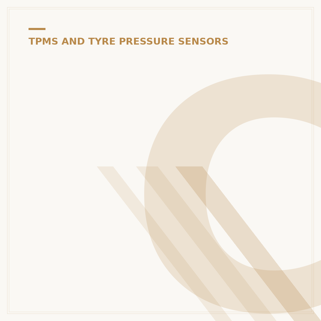Cars with TPMS Explained: Safety and Efficiency