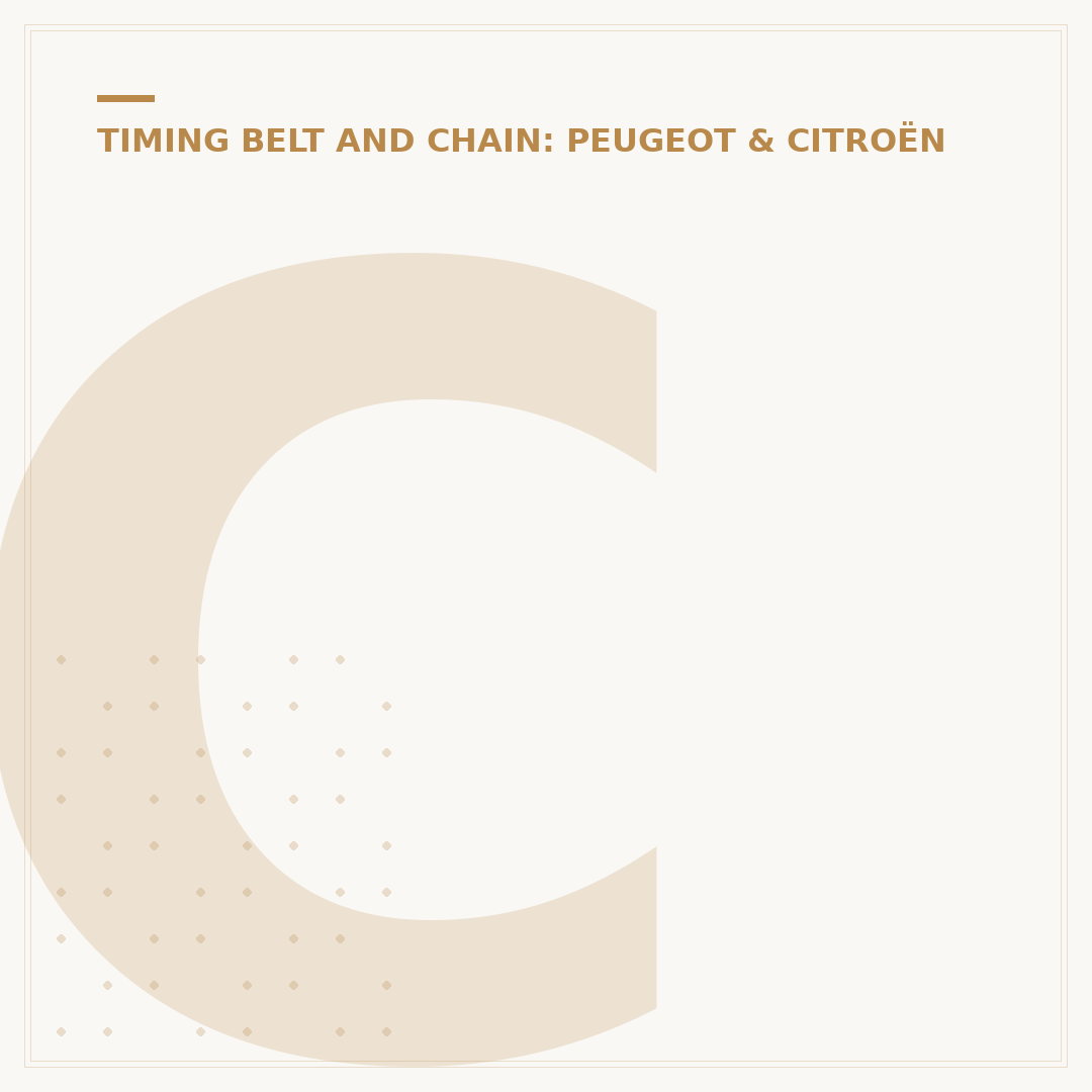 Citroën C3 Wet Belt: What You Need to Know