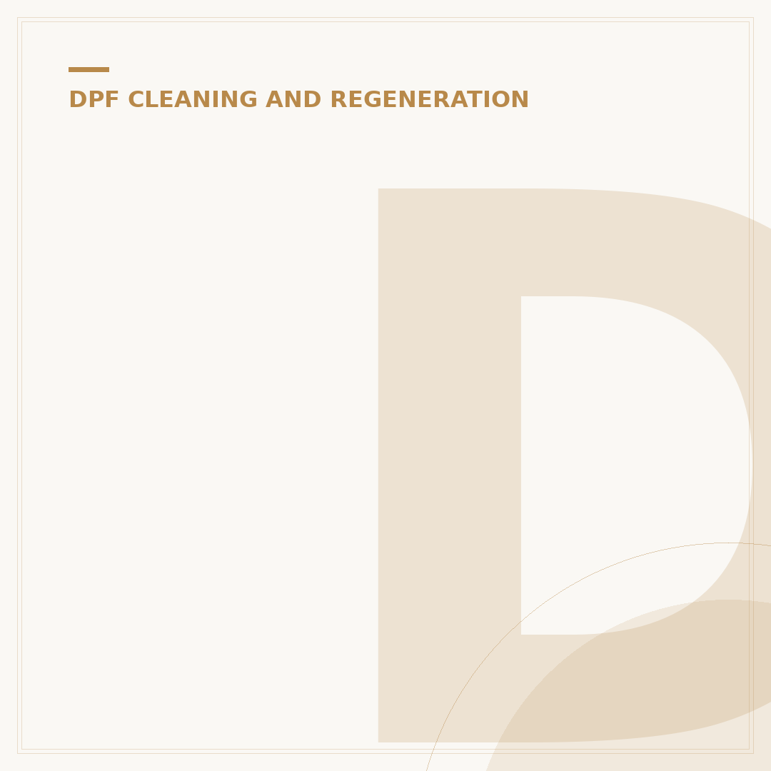 DPF Deep Clean