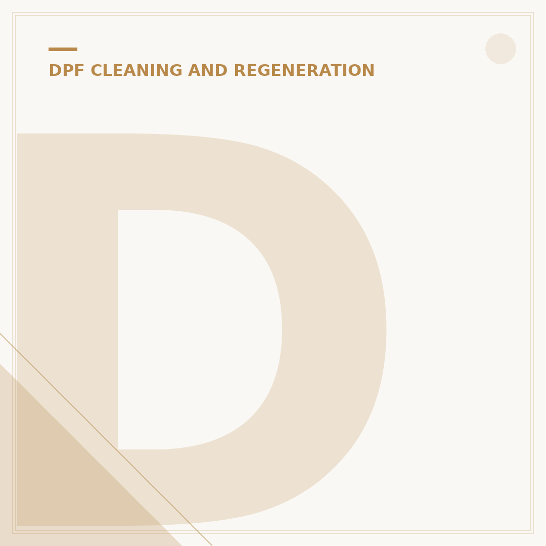 DPF EGR Removal Explained: What You Need to Know
