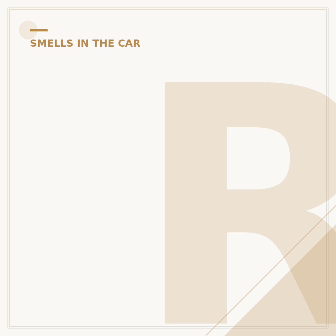 Remove Egg Smell From Your Car Effectively