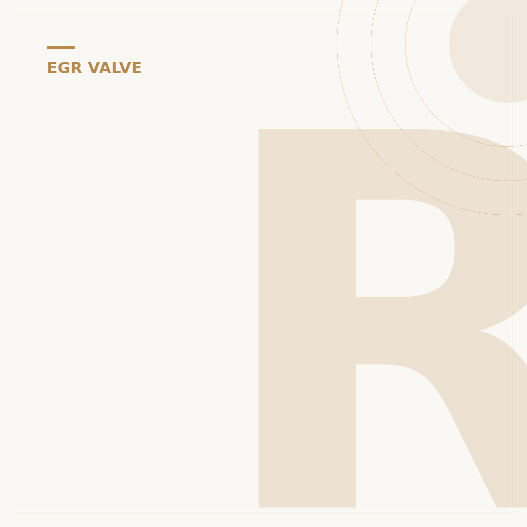 Recognising Faulty EGR Valve Signs