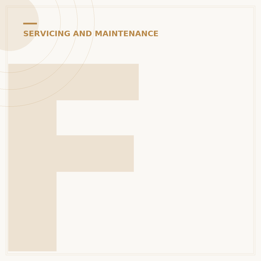 Ford Fiesta Service: What to Expect and When