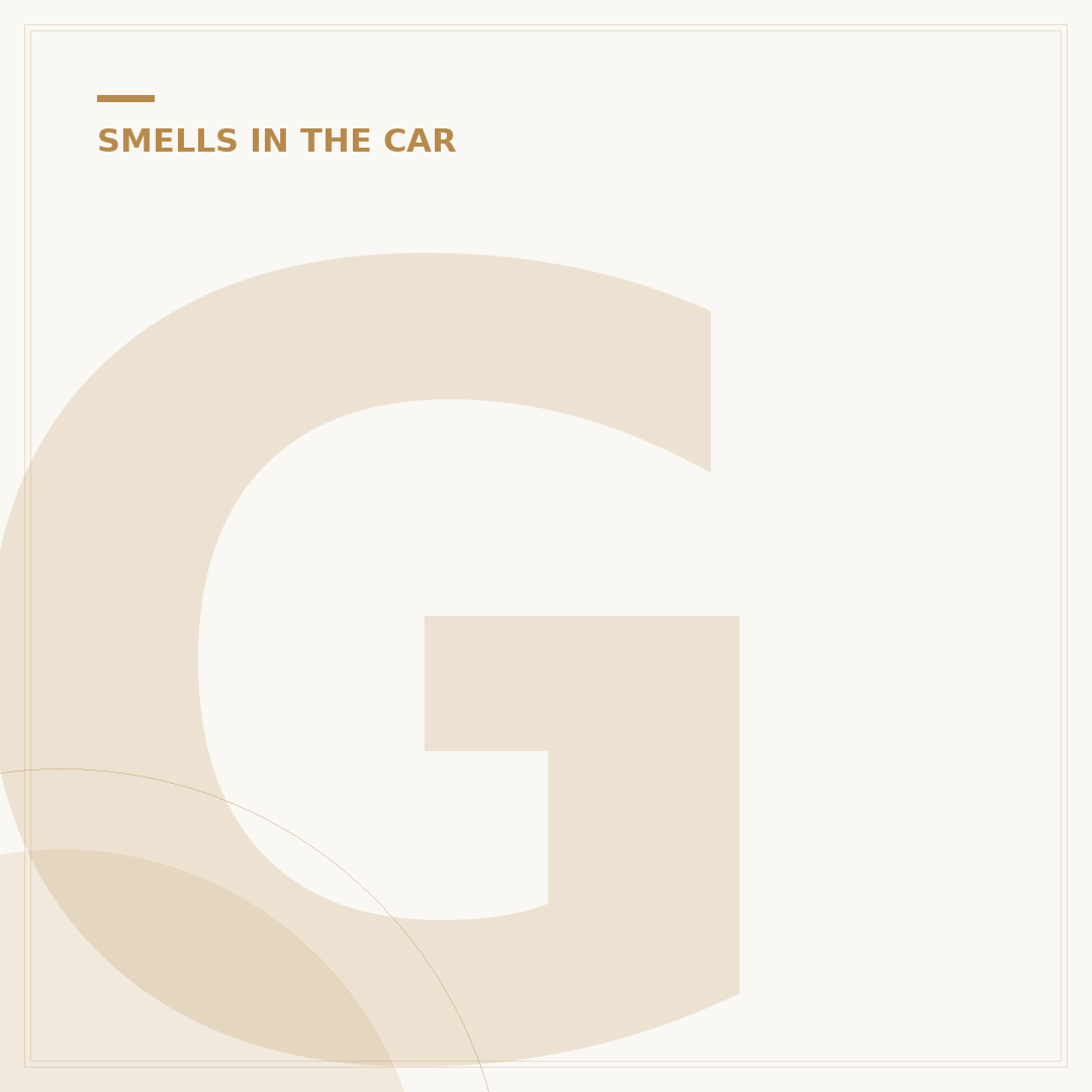 Gas Smell Inside Car: Causes and What to Do