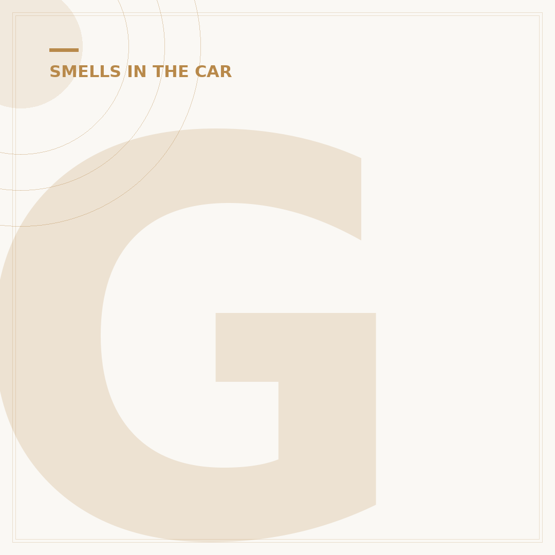 Gasoline Smell Inside Car: Causes and What to Check