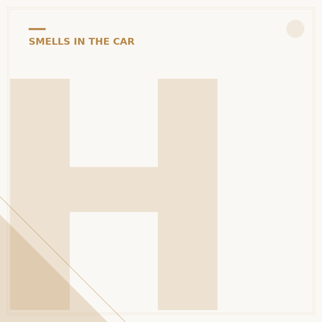 How to Get Rid of Gas Smell in Car