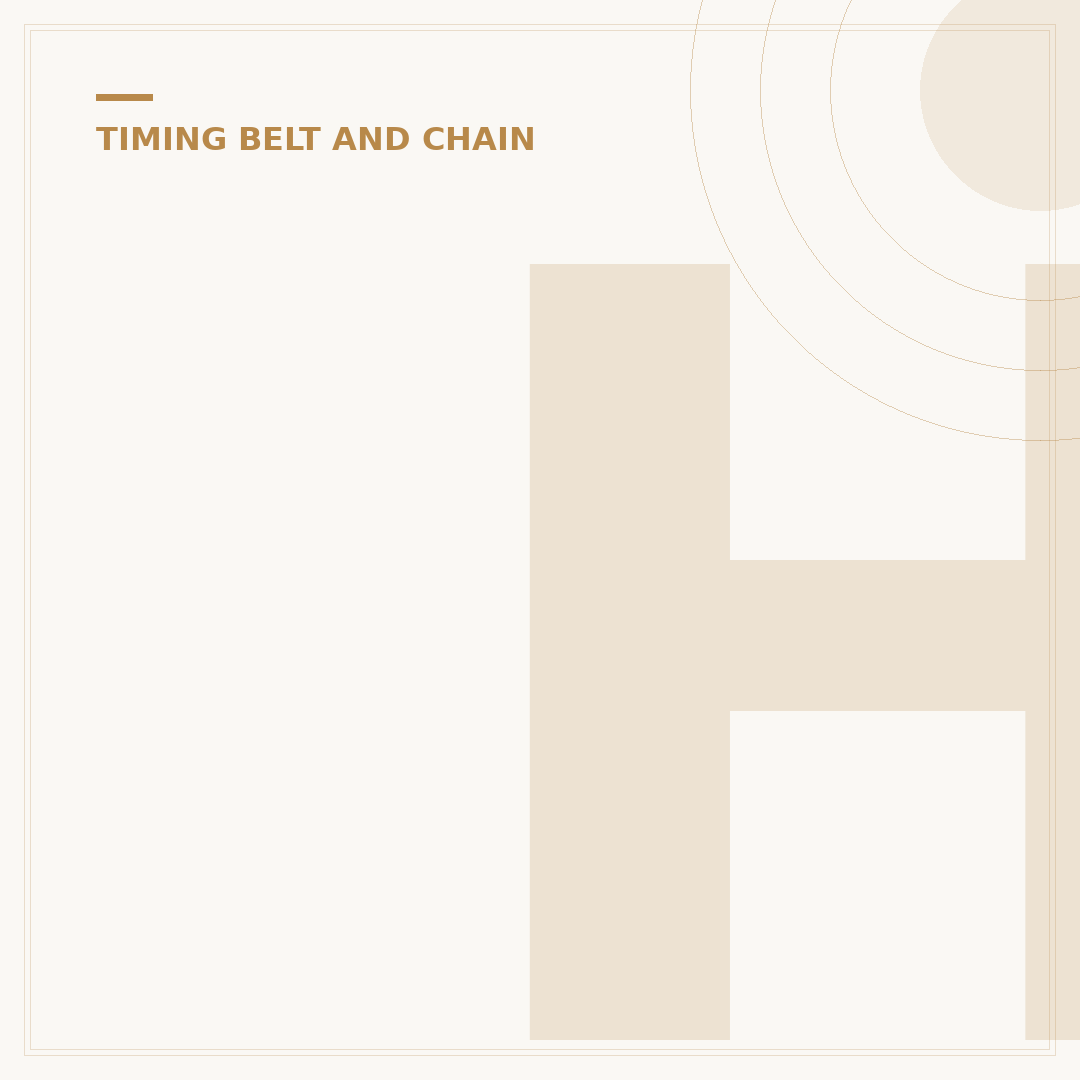 Honda Civic Wet Belt: What You Need to Know