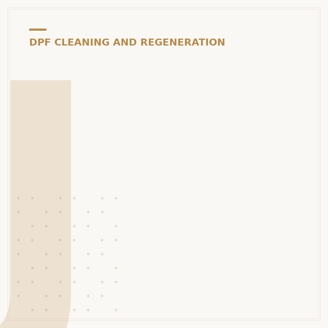 JLM DPF Cleaner: What It Is & How It Works