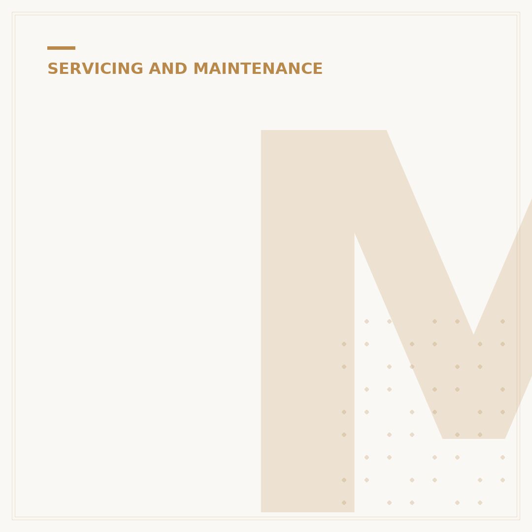Mini Cooper Service Interval Explained