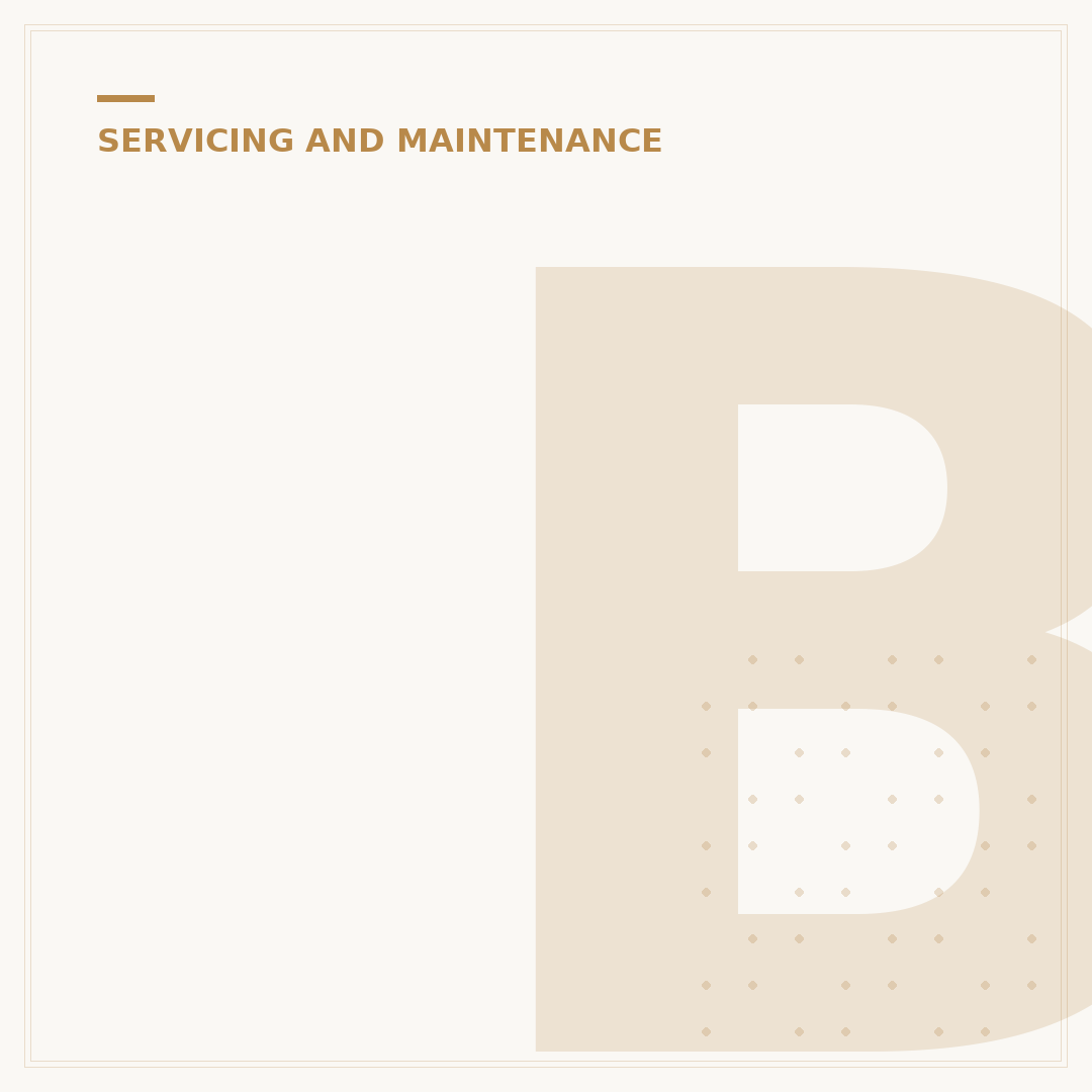 BMW Mini Cooper Service Schedule: What to Know