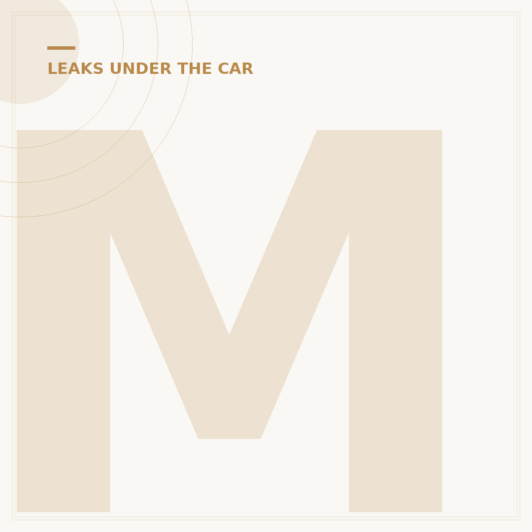 Motor Oil Leak: Causes, Signs & What To Do