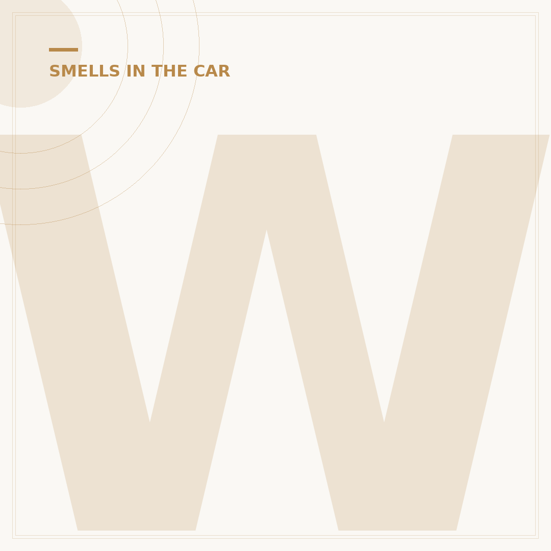 What is the New Car Smell and Its Source?
