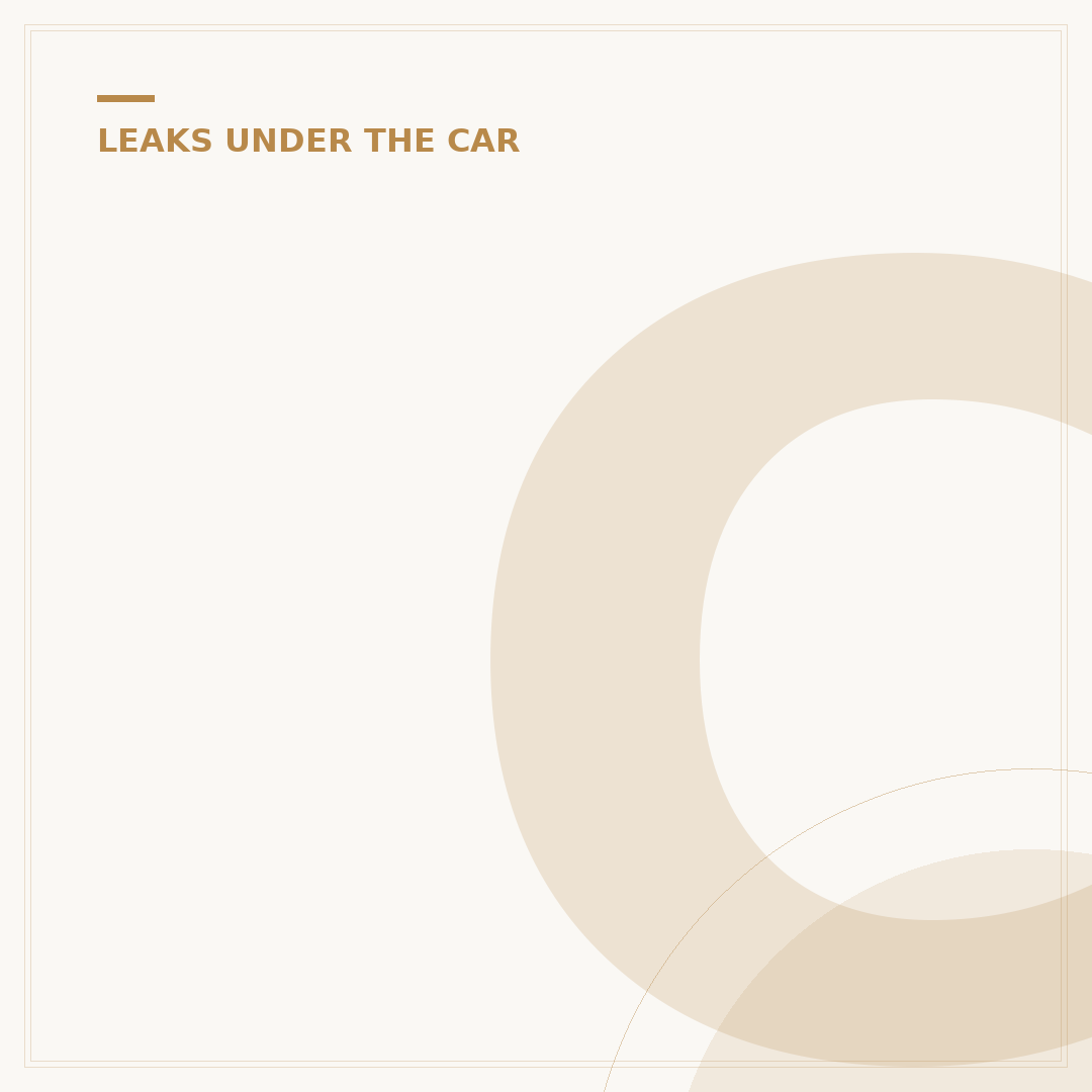 Car Oil Leak Repair: Diagnosis and Fixes