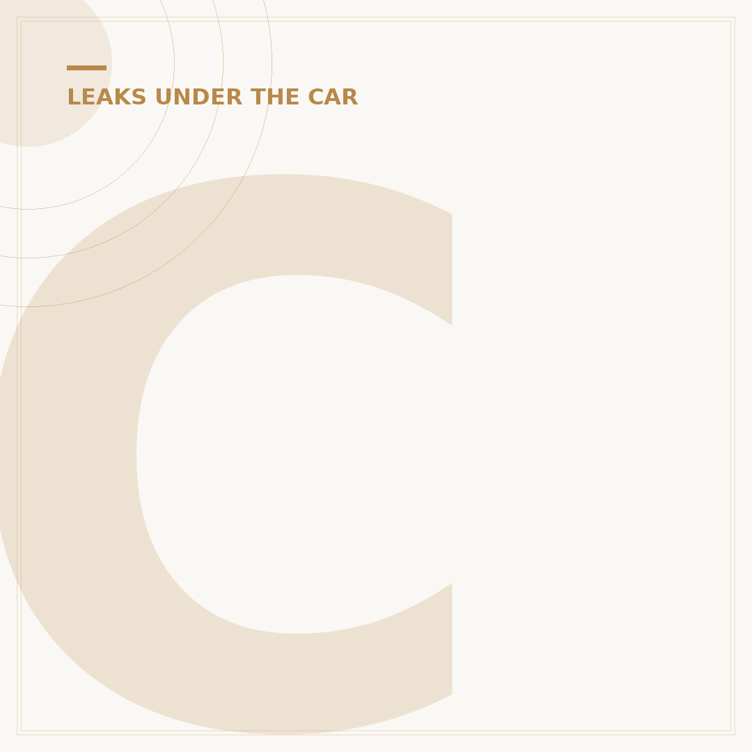 Car Oil Leak Symptoms: What to Look For