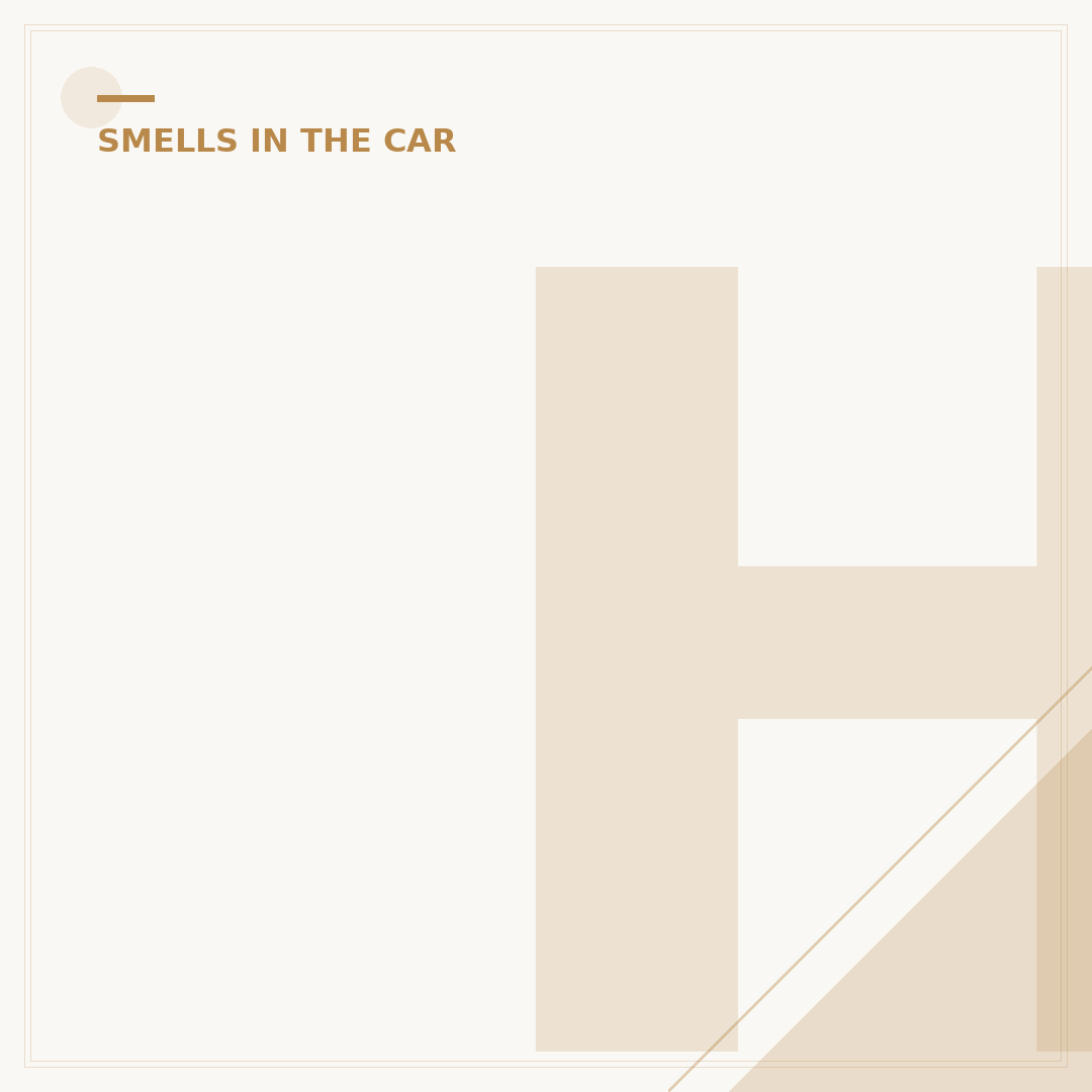 How to Get Rid of Petrol Smell in Car Safely