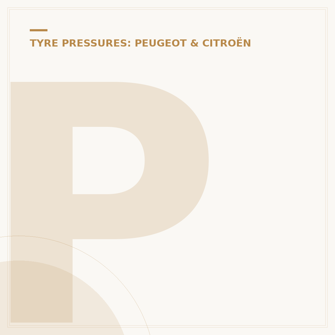 Peugeot Expert Tyre Pressure: Correct Settings Explained