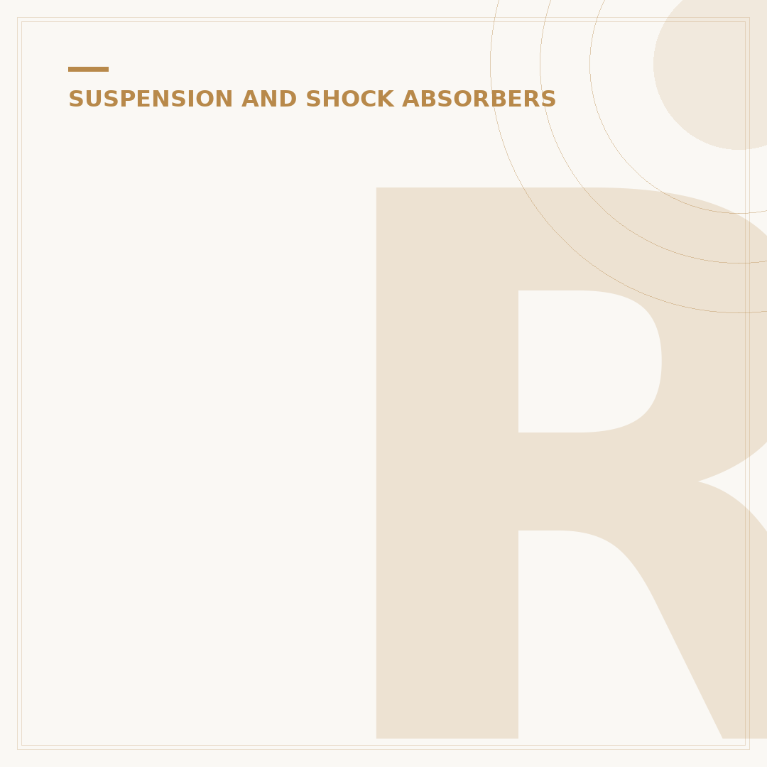 Rear Shock Absorber Replacement: When and How