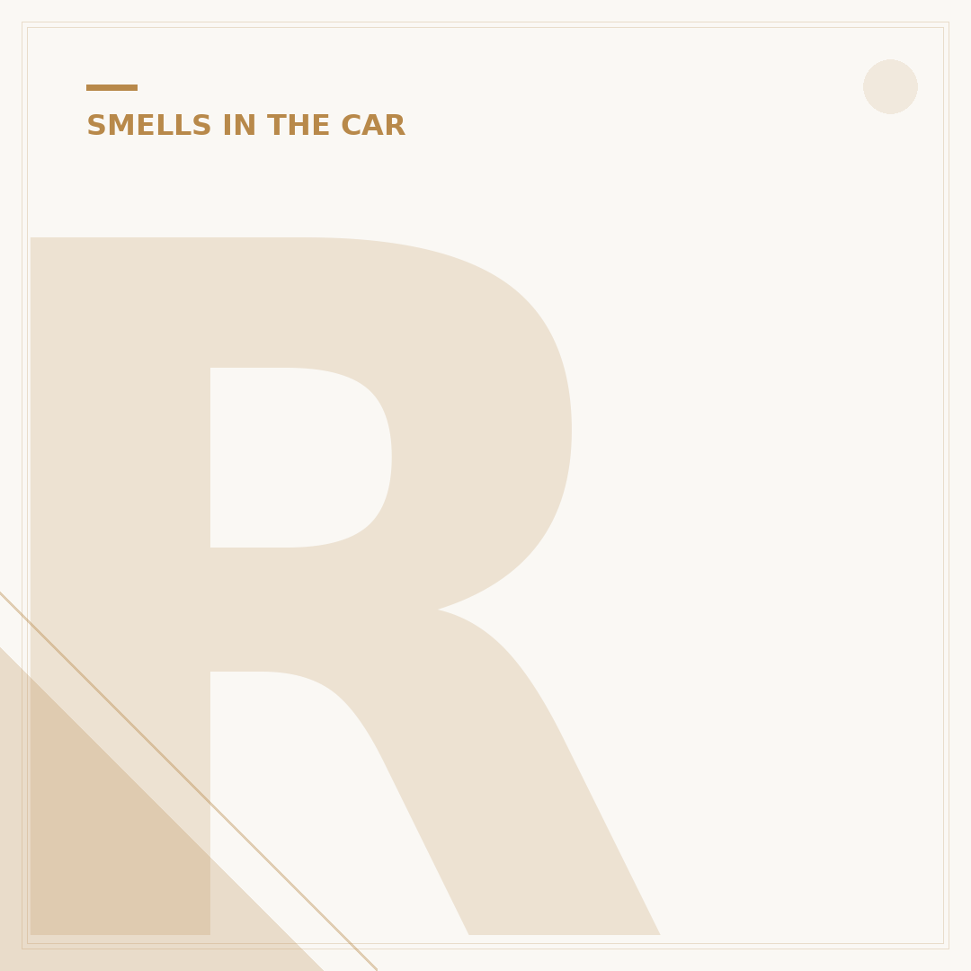 Rotten Egg Smell in Car: Causes and What To Do