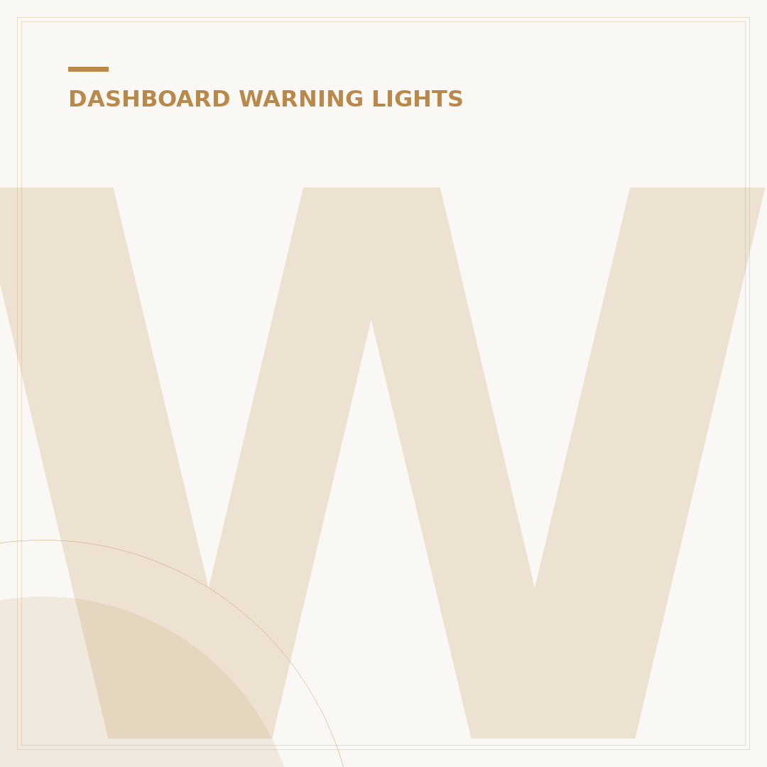 What Does the Traction Control Light Mean?