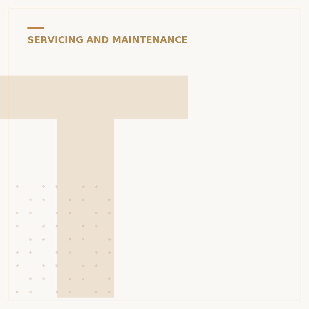 Transit Custom Service Intervals