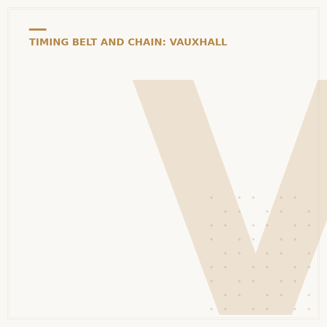 Vauxhall Grandland Wet Belt