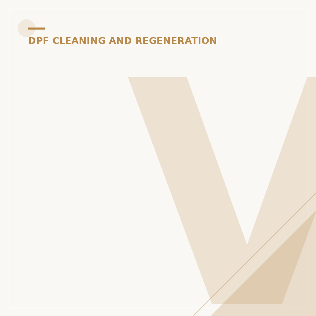 VW Passat DPF Removal: What You Need To Know