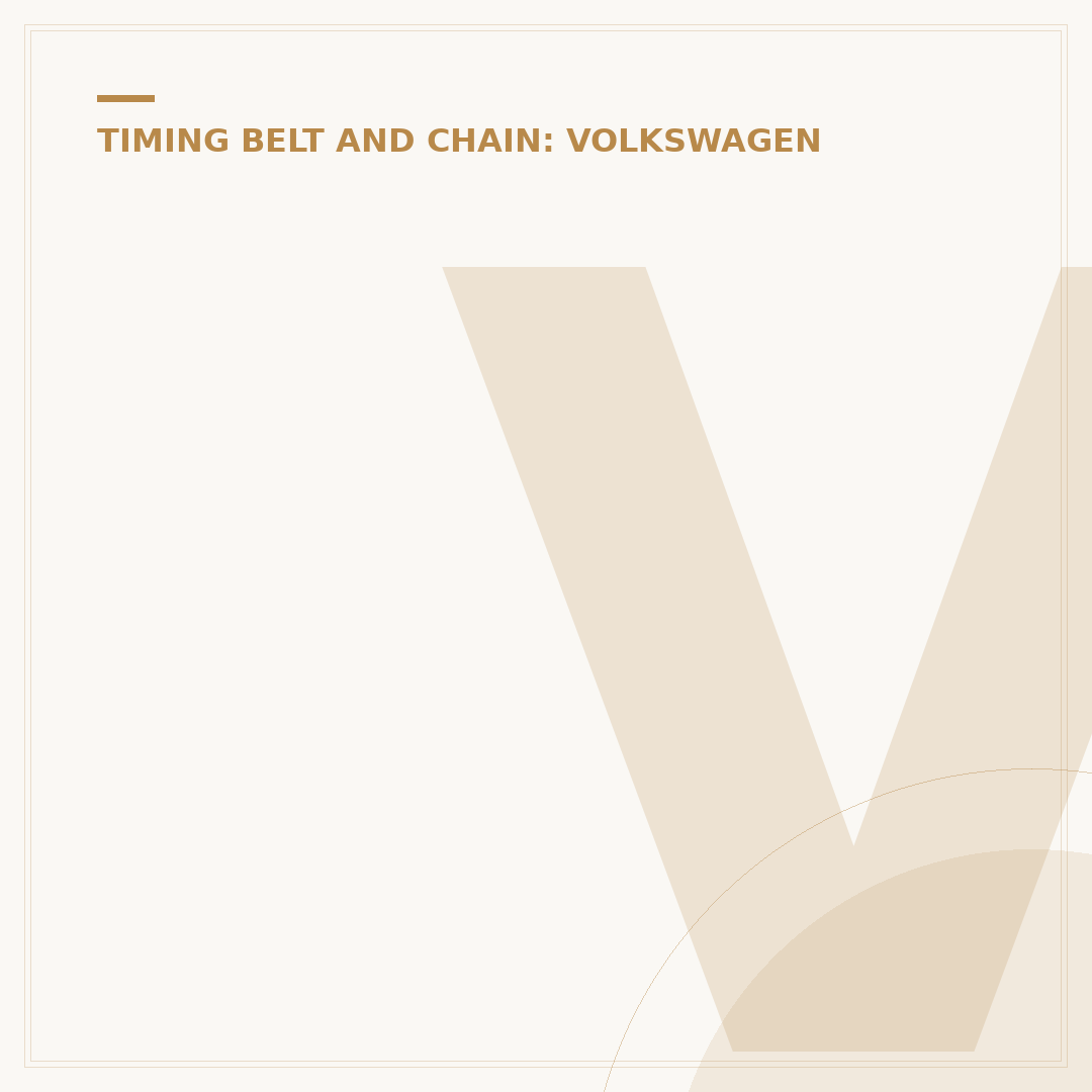 VW Wet Belt: What It Is & Why It Matters