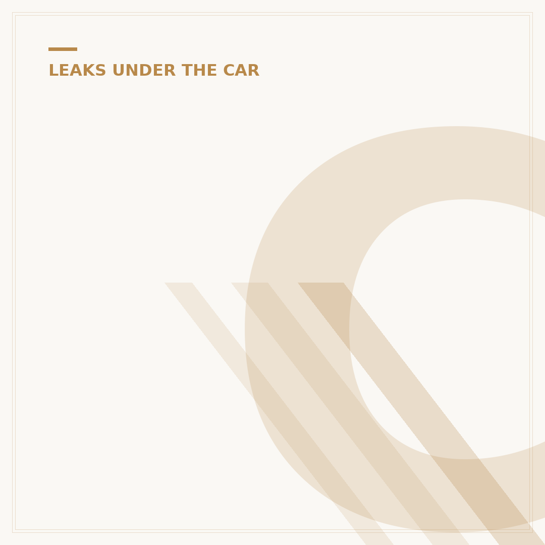 Car Water Leaking Inside: Causes & What to Do