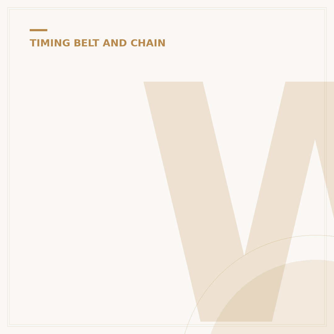 Wet Belt Replacement: When to Consider It
