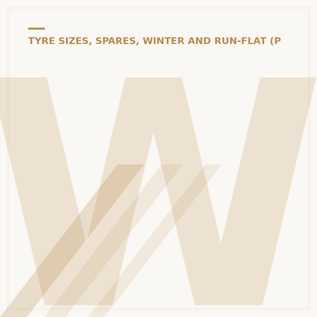 Winter Tyres 205 55 R16: When to Fit Them