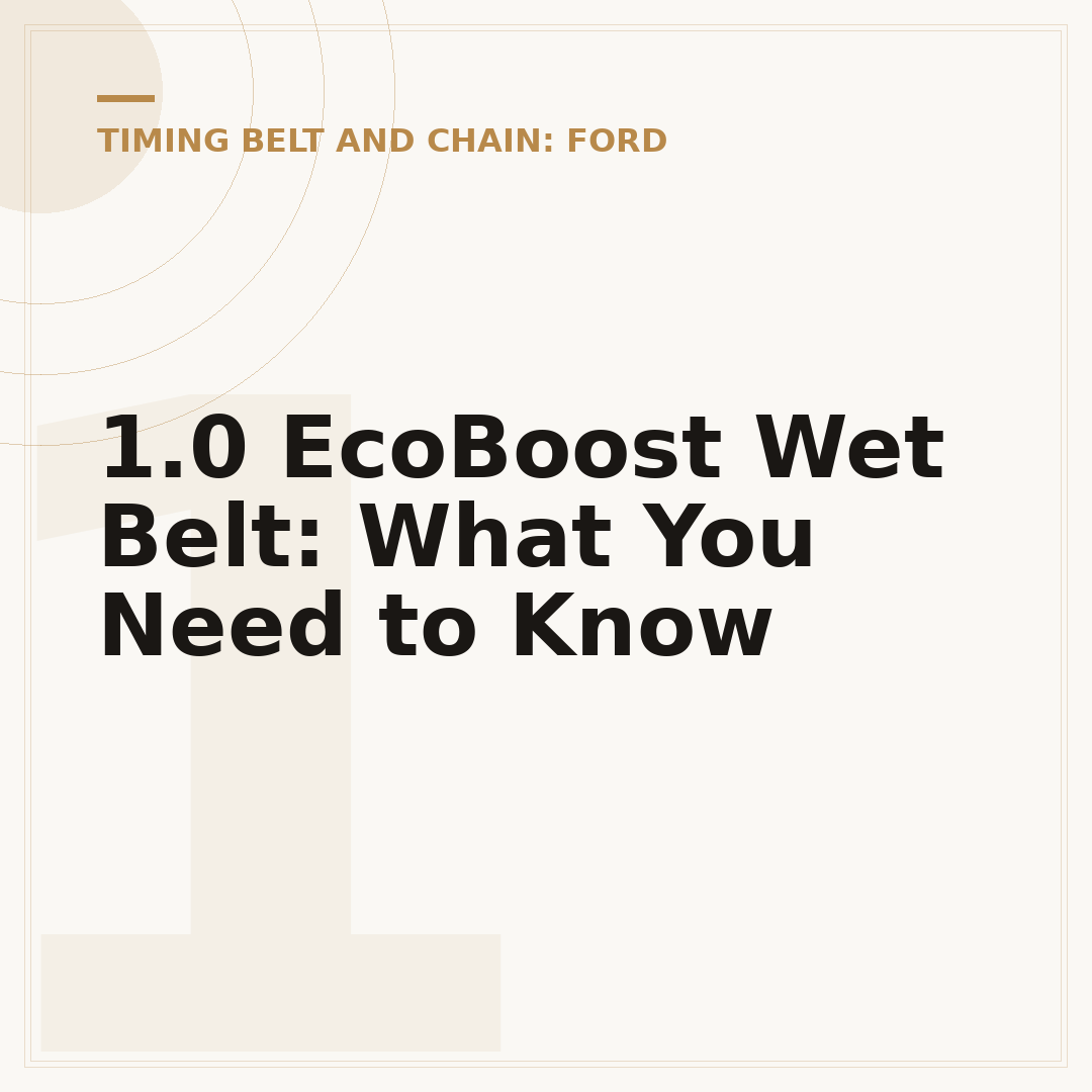 1.0 EcoBoost Wet Belt: What You Need to Know