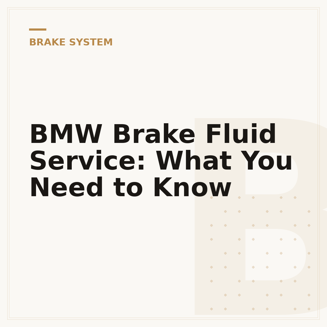 BMW Brake Fluid Service: What You Need to Know