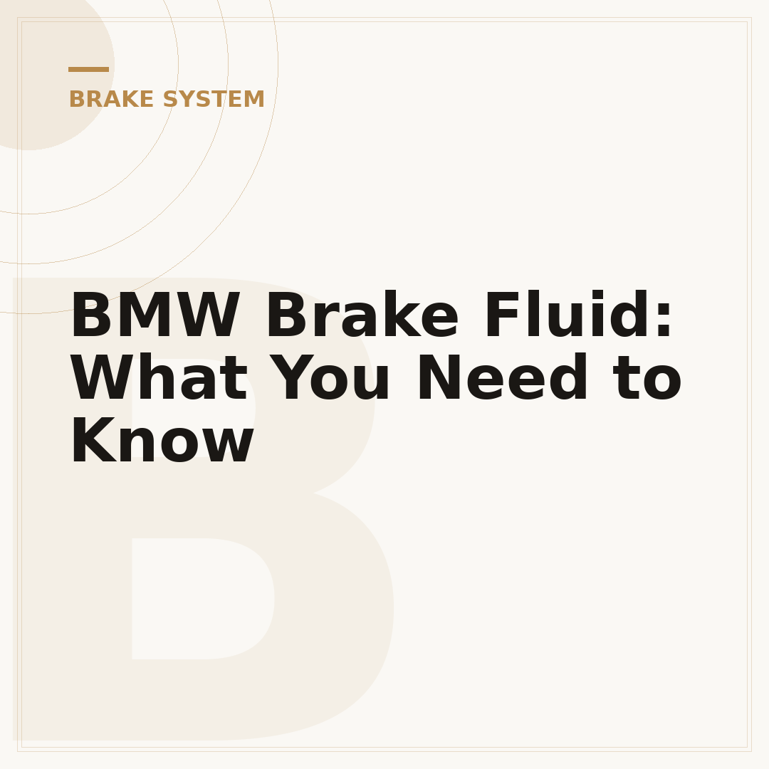 BMW Brake Fluid: What You Need to Know
