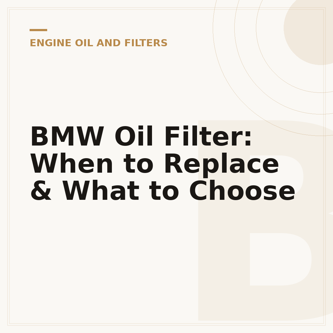 BMW Oil Filter: When to Replace & What to Choose