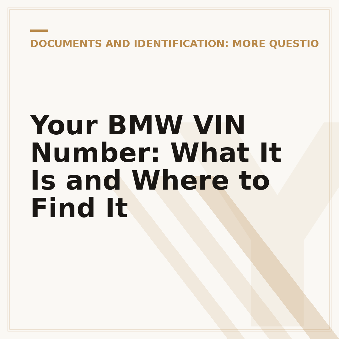 Your BMW VIN Number: What It Is and Where to Find It