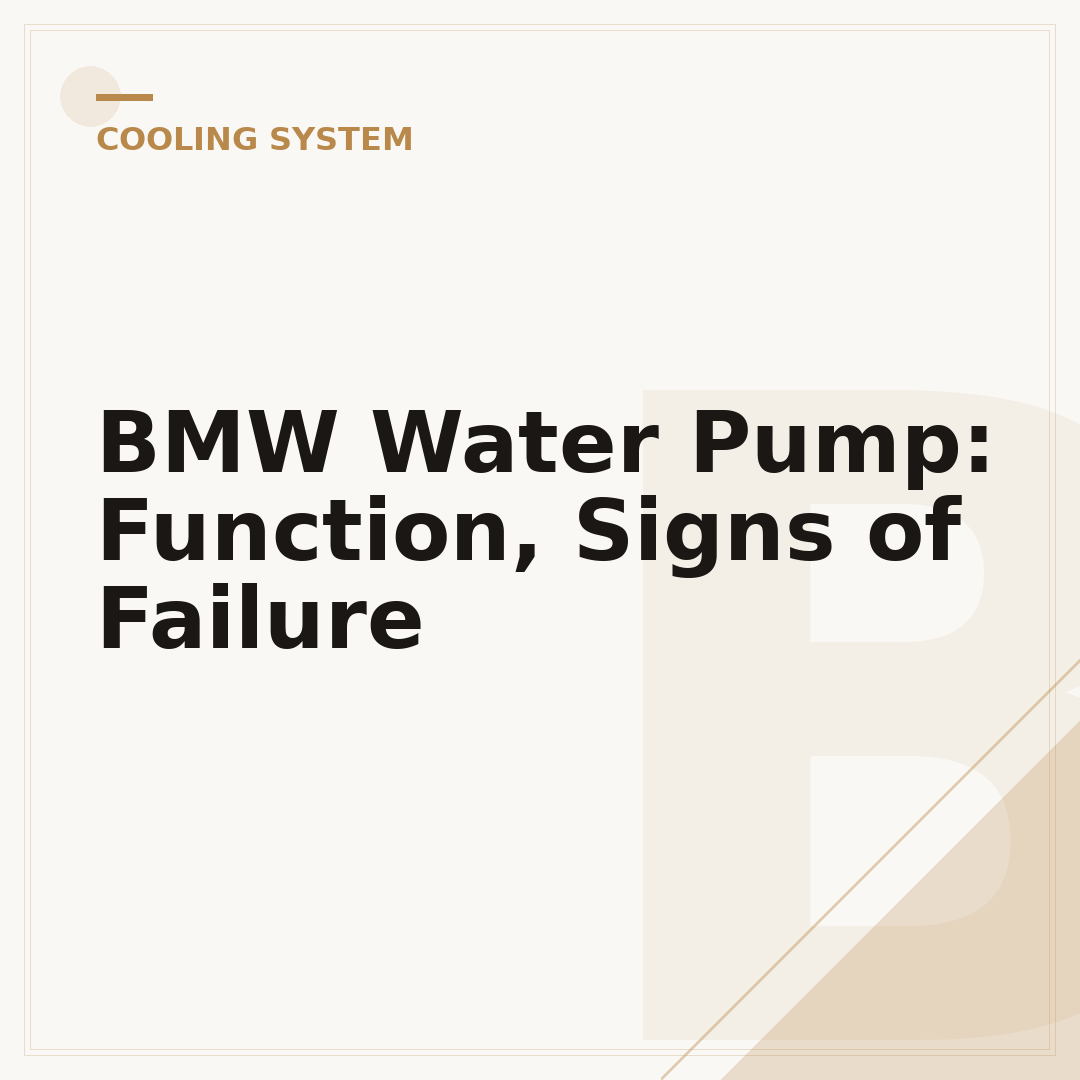 BMW Water Pump: Function, Signs of Failure
