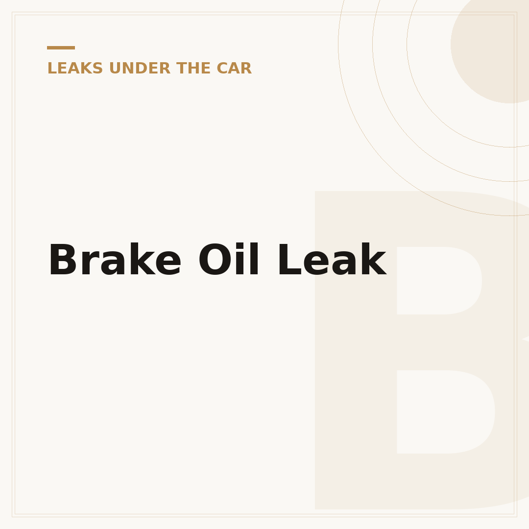 Brake Oil Leak